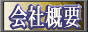 ЊTv